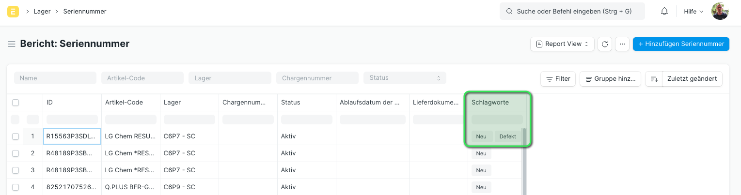 Darstellung der Spalte Schlagworte in der Berichts-Ansicht